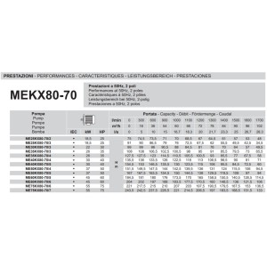 Electropompe ME35KX80-70/4 26kW 102m³/h