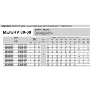 Electropompe multicellulaire ME30K80-60/2P 22KW