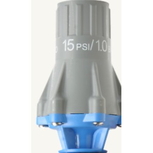 Régulateur de pression Nelson 30PSI FNPT